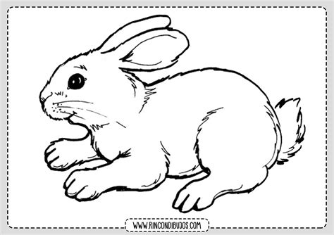 Dibujos De Conejos