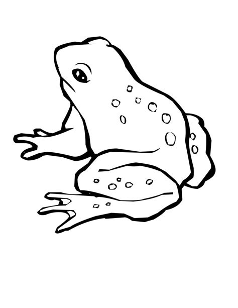 Dibujos De Sapos