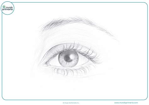 Dibujos Faciles A Lapiz