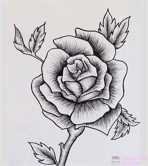 Dibujos de Flores para Pintar: una Guía Paso a Paso para Artistas y Amantes del Arte