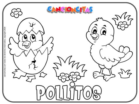 Dibujos de pollos para colorear: una actividad divertida y educativa