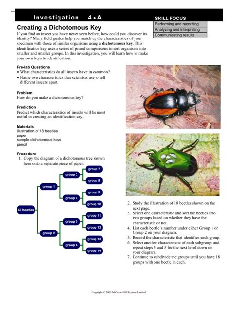 Full Download Dichotomous Key Beetles Answers 