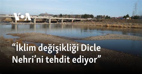 Dicle üni Bölümleri