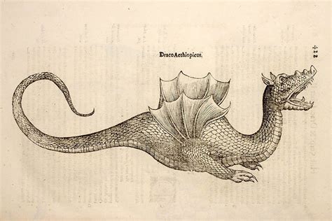 Did The Dragons Exist