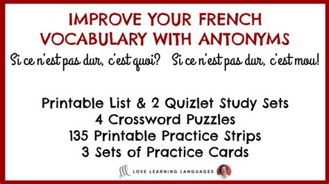 did you learn in french pdf file