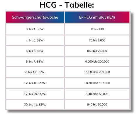 Die Hcg Diät