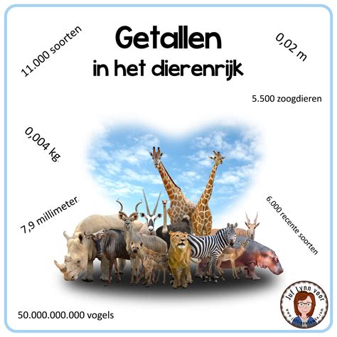 dierenrijk definitie