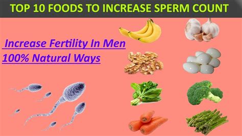 Diet For Increasing Sperm Count