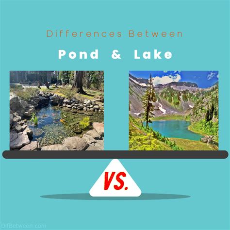 Difference Between A Pond And Lake