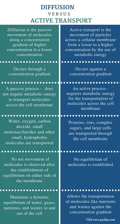 Difference Between Active Transport And Passive Transport