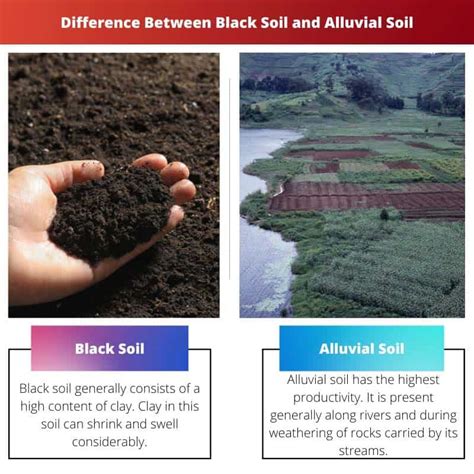 Difference Between Alluvial Soil And Black Soil