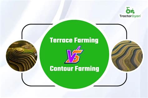Difference Between Contour Farming And Terrace Farming