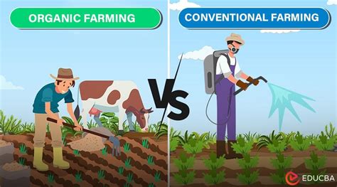 Difference Between Conventional Farming And Organic Farming