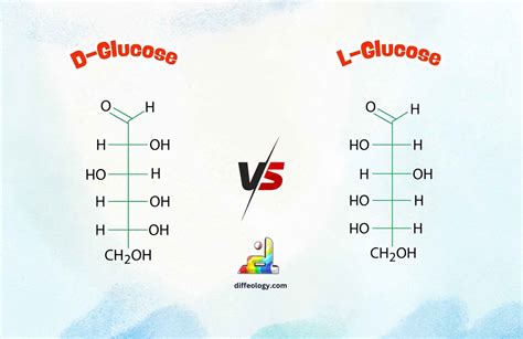 Difference Between D And L Glucose