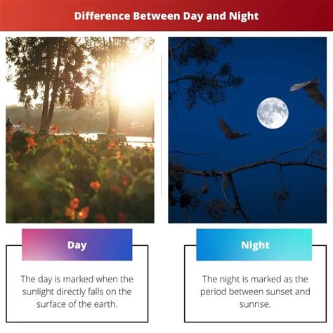 Difference Between Day And Night   The Difference Between Day And Night Face Creams - Difference Between Day And Night
