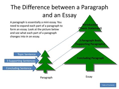 Difference Between Essay And Paragraph