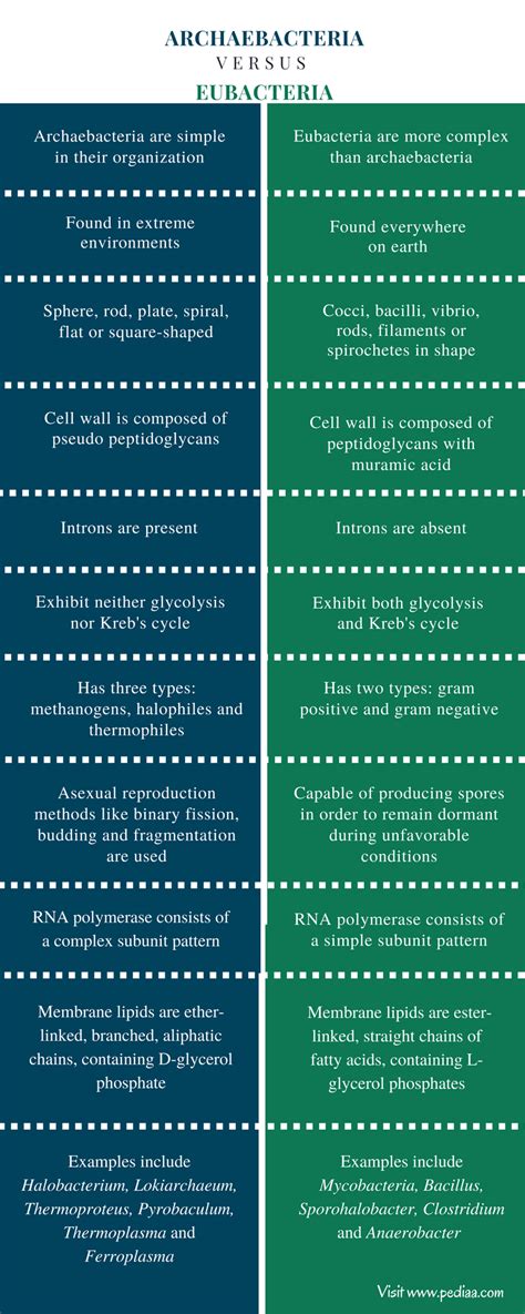 Difference Between Eubacteria And Archaebacteria