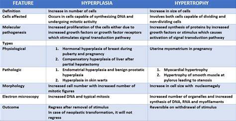 Difference Between Hypertrophy And Hyperplasia