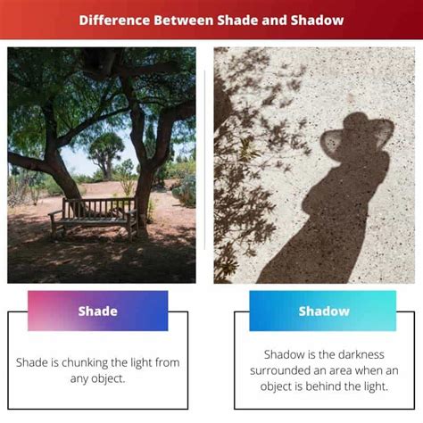 Difference Between Image And Shadow