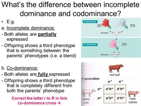 Difference Between Incomplete Dominance And Codominance Byjuu0027s Biology Incomplete And Codominance Worksheet - Biology Incomplete And Codominance Worksheet