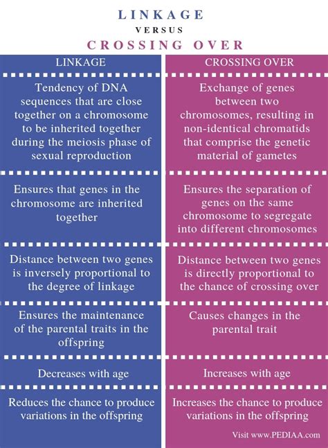Difference Between Linkage And Crossing Over