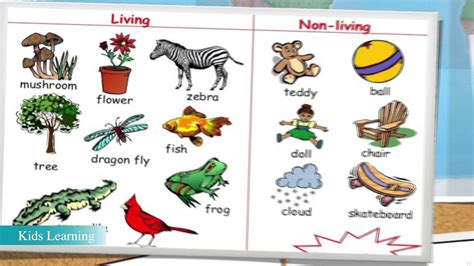 Difference Between Living And Non Living Things Difference Science Non Living Things - Science Non Living Things