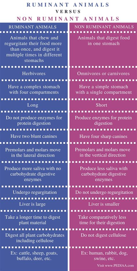 Difference Between Ruminant And Non Ruminant Animals