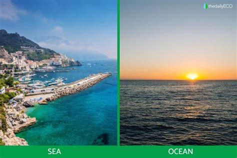 Difference Between Sea And Ocean
