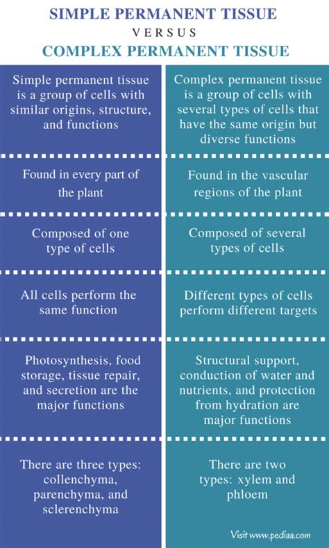 Difference Between Simple Permanent Tissue And Complex Permanent Tissue