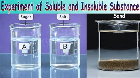 Difference Between Soluble And Insoluble Substances Dewwool Soluble Or Insoluble Worksheet - Soluble Or Insoluble Worksheet
