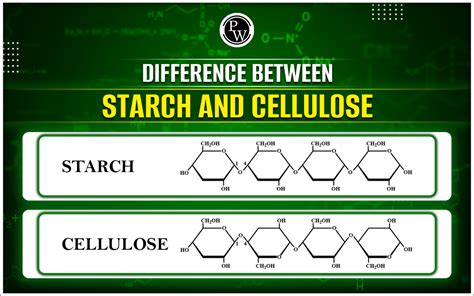 Difference Between Starch And Cellulose
