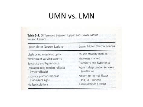 Difference Between Umn And Lmn