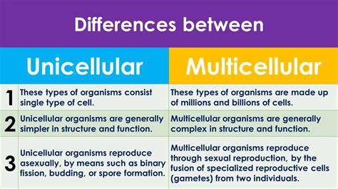 Difference Between Unicellular And Multicellular Organisms