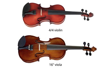 Difference Between Viola And Violin