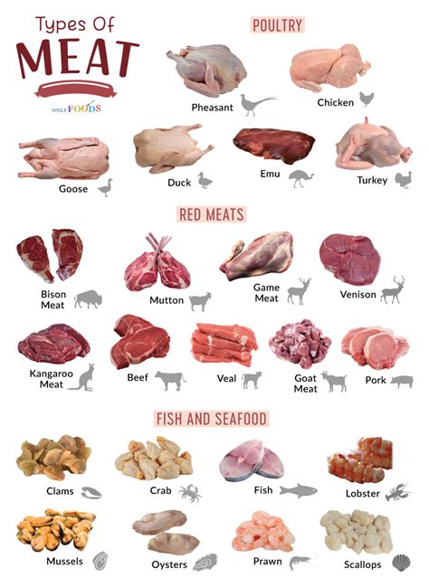 Different Categories Of Meat