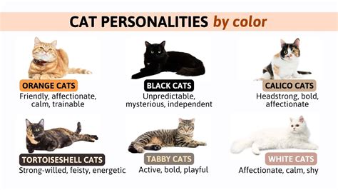 different colored cats