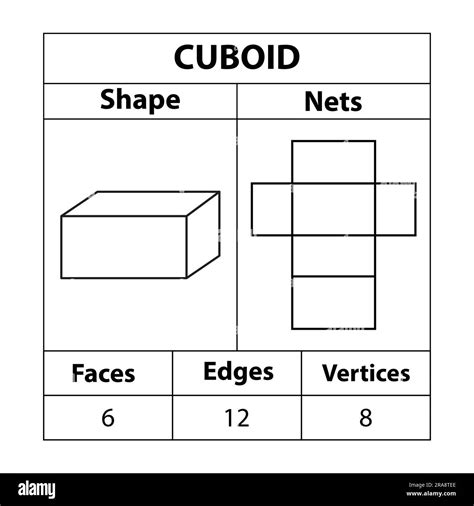Different Nets Of A Cuboid