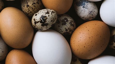 Different Types Eggs