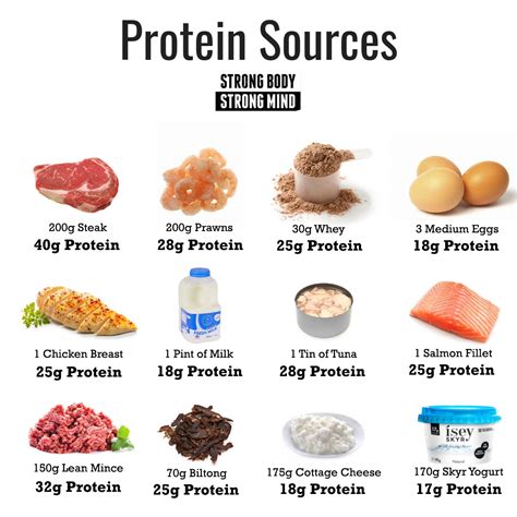 Different Types Of Protein
