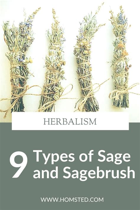 different types of sage and uses