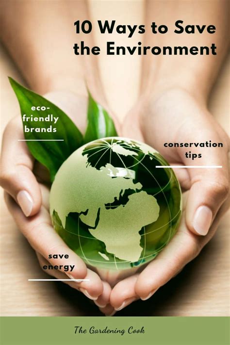 different ways to save environment