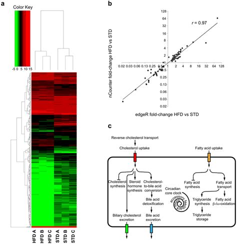 differential gene expression without replicates: edgeR, DESeq?