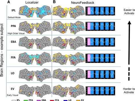 Read Online Differential Geometry Neurofeedback 