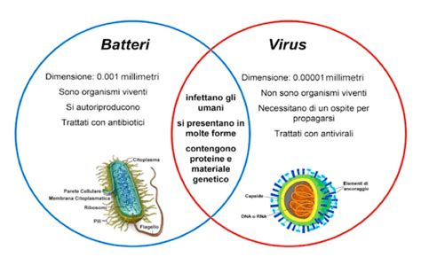 Differenza Tra Virus E Batteri