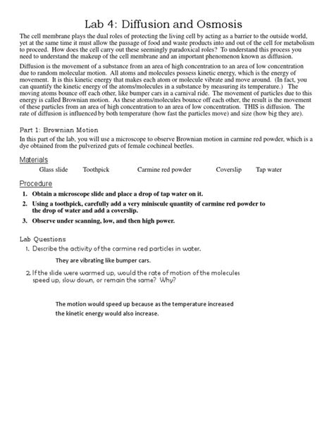 Diffusion And Osmosis Lab Answer Key