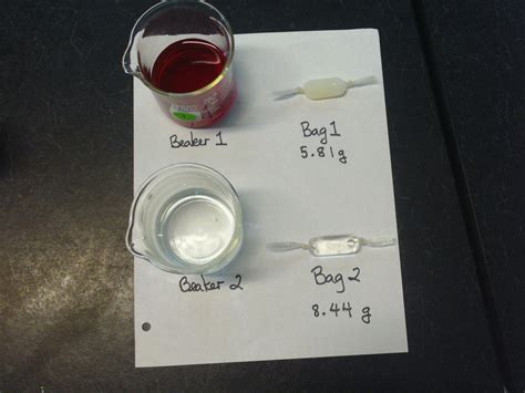 Diffusion Lab Weebly