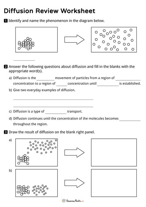Diffusion Worksheets Free Printables Science Facts Biology Diffusion And Osmosis Worksheet - Biology Diffusion And Osmosis Worksheet
