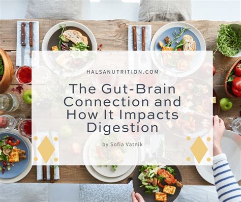 Digestion Connection