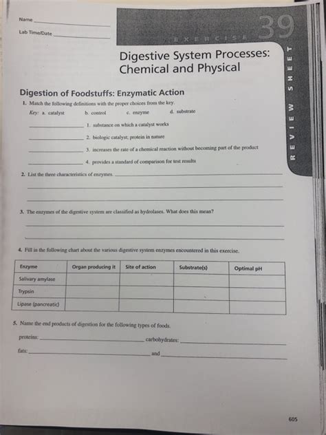 Read Online Digestion Lab Answers Exercise 39 