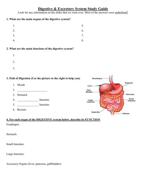 Digestive And Excretory System Study Guide Answers
